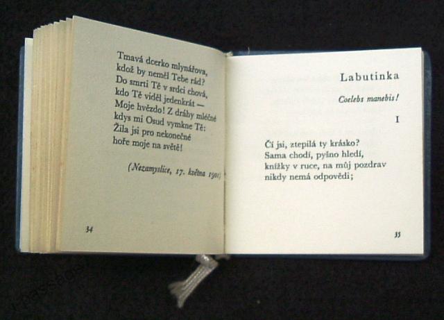Labutinka - 4 Labutinka - 4